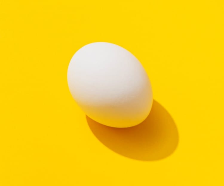 image-transform-egg